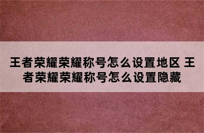 王者荣耀荣耀称号怎么设置地区 王者荣耀荣耀称号怎么设置隐藏